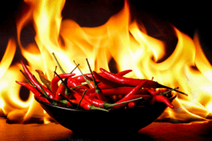 About Chillies. What  makes them hot?