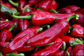 chilli varieties from a to z. Espelette