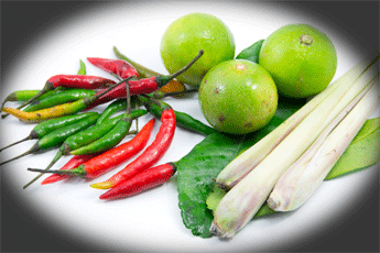Thai cooking with chillies. Ingedients